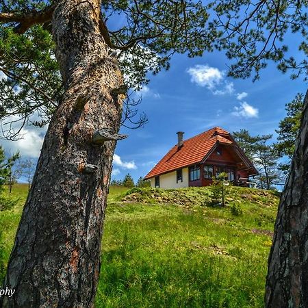 Cottage Vodice Zlatibor Exteriör bild