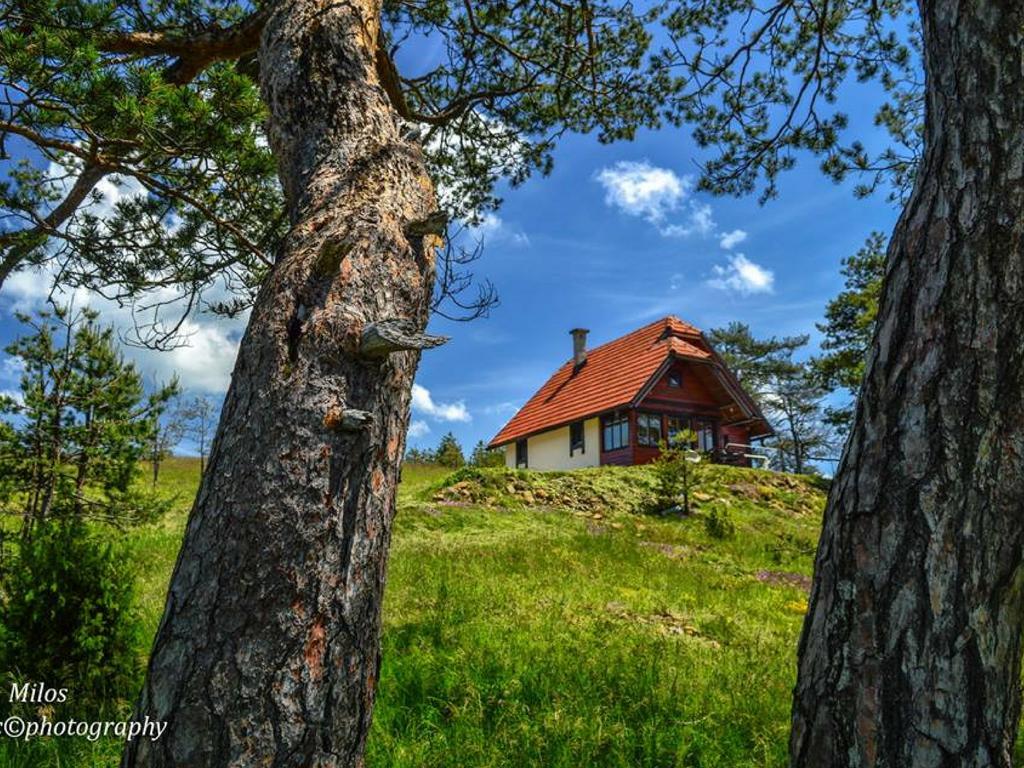 Cottage Vodice Zlatibor Exteriör bild