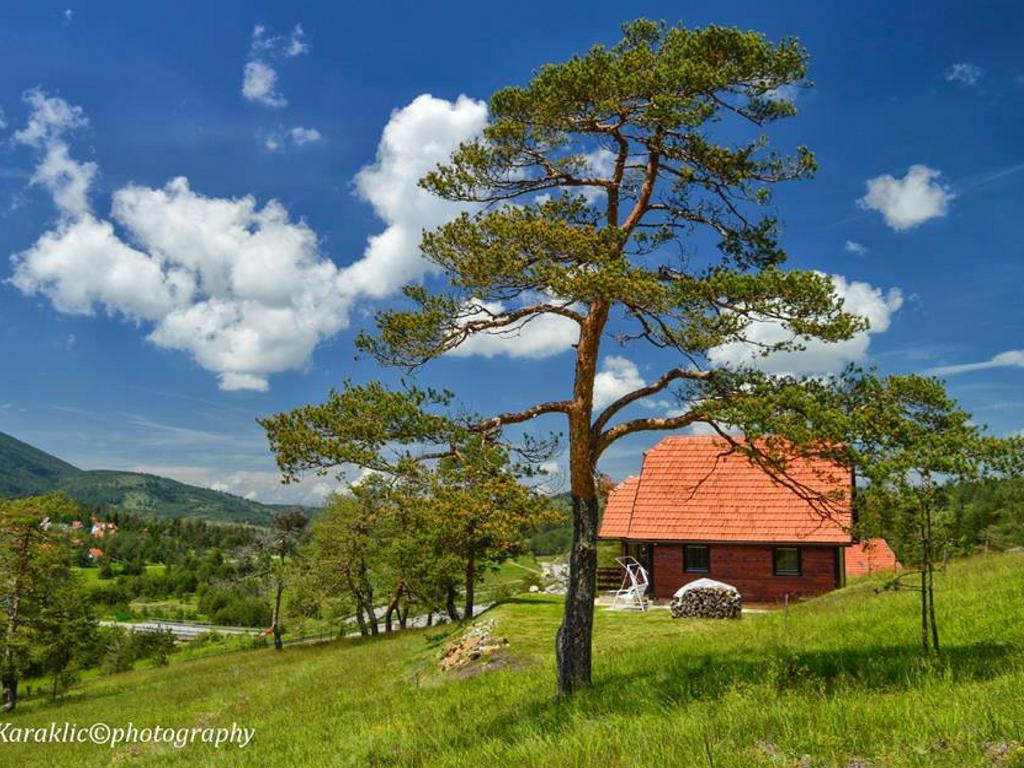 Cottage Vodice Zlatibor Exteriör bild