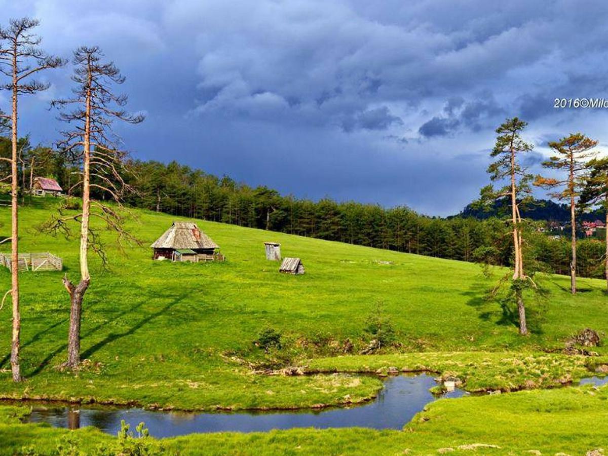 Cottage Vodice Zlatibor Exteriör bild