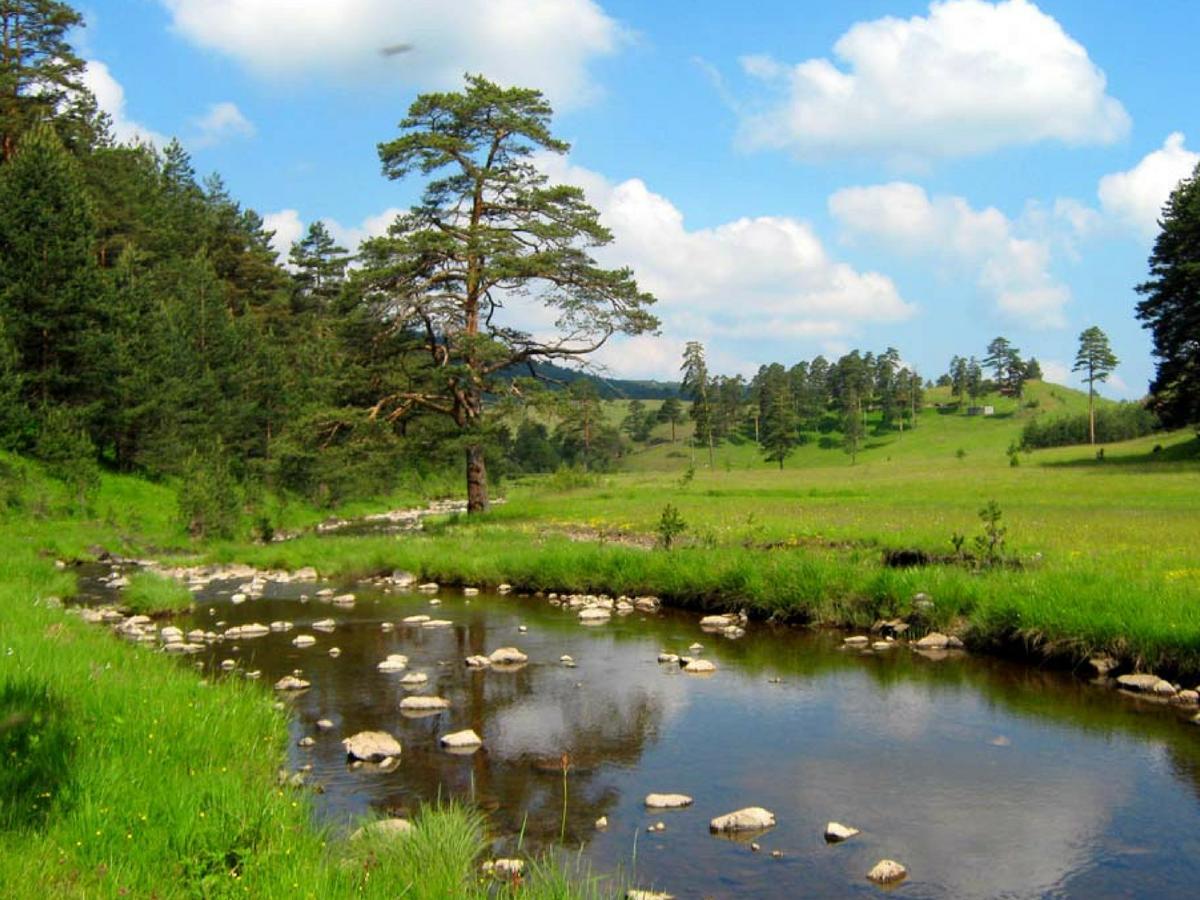 Cottage Vodice Zlatibor Exteriör bild