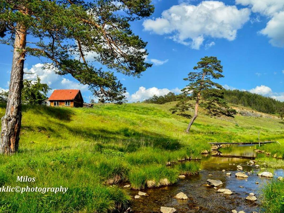Cottage Vodice Zlatibor Exteriör bild